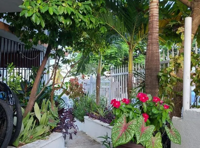 Casita Natural Village #4, #6 Y #8