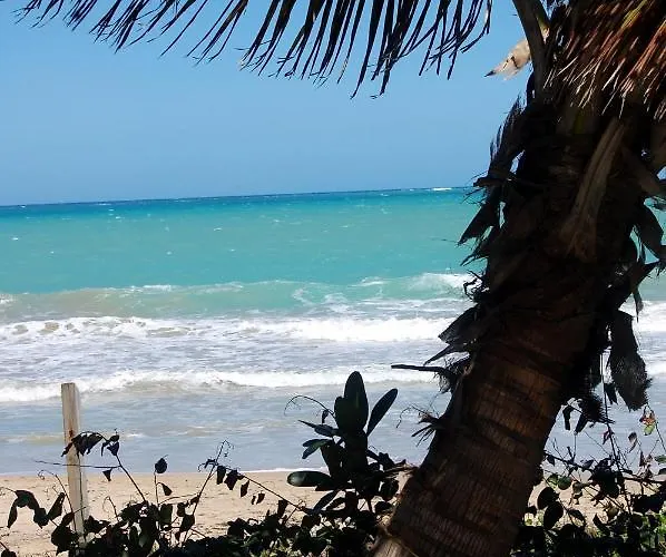 Ivbb Beach Studio