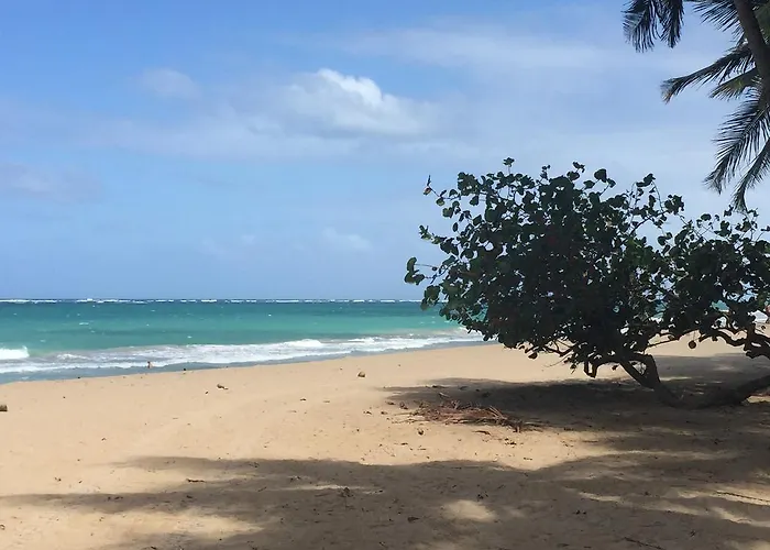 Kingsville Condado Studio Apartment