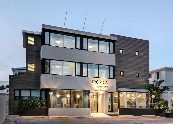 Tropica Beach Hotel (Adults Only)