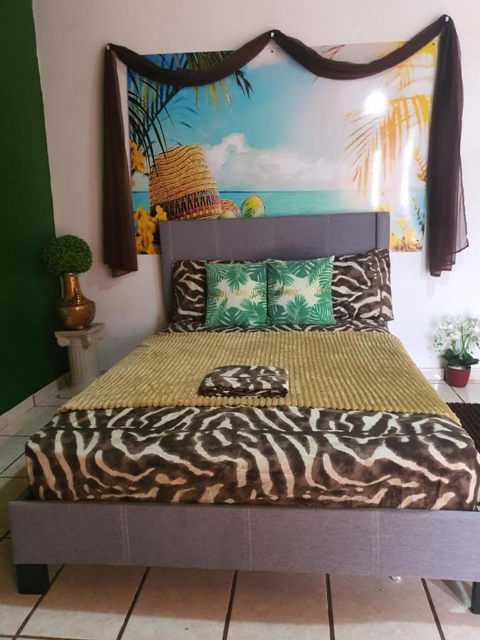 Mjac Jungle San Juan