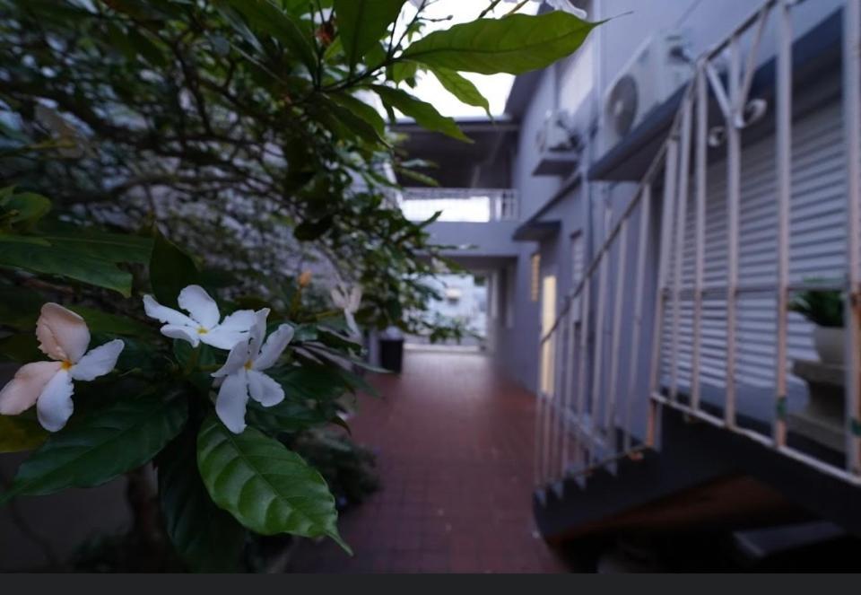 Homestay Sweet Dreams Puerto Rico