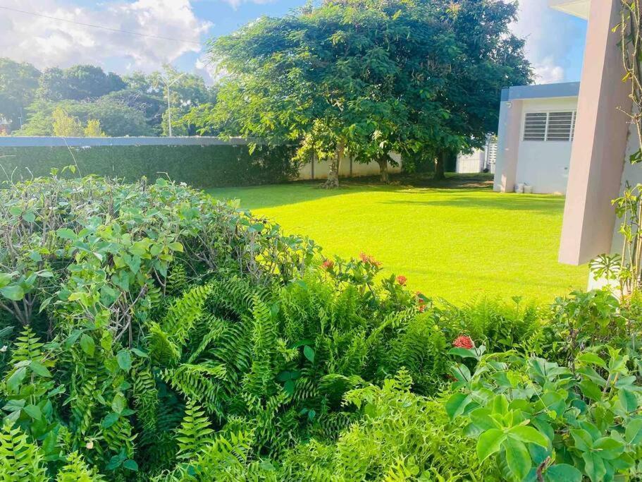 Holiday home Urban Paradise San Juan