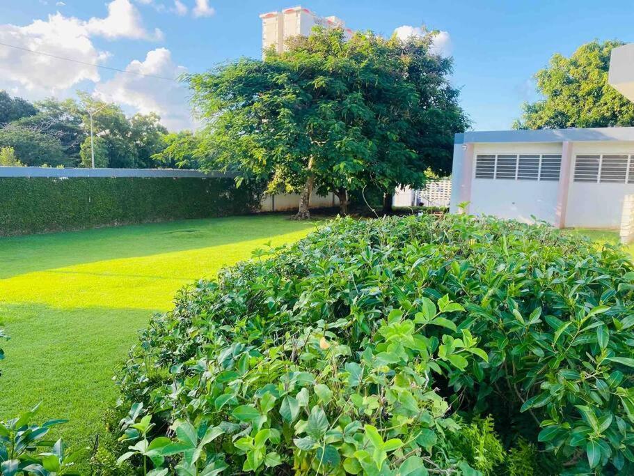 Urban Paradise