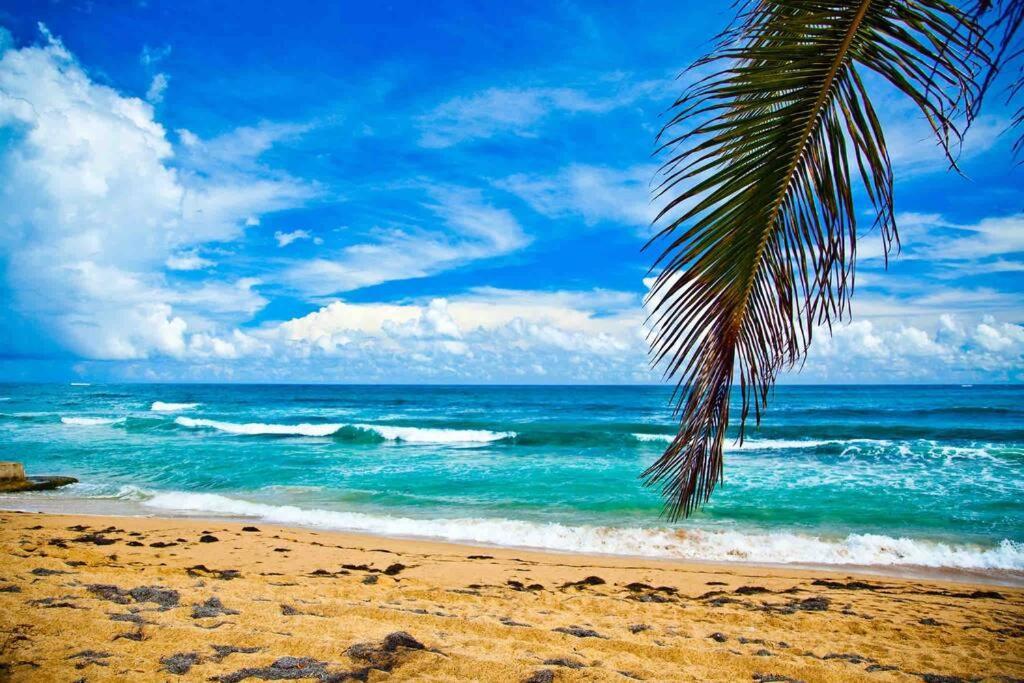 A2-quaint 1b-fast Wifi-walk To Restaurants, Beach Apartment San Juan