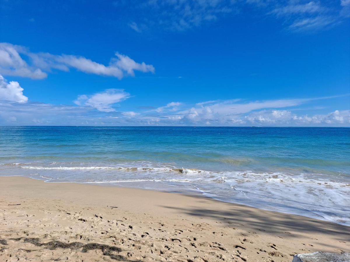 Cozybeach Large 1bdrapt 50 Steps From Atlantic Ocean Private Street Between Ocean Park & Isla 5 Mins From Airport San Juan