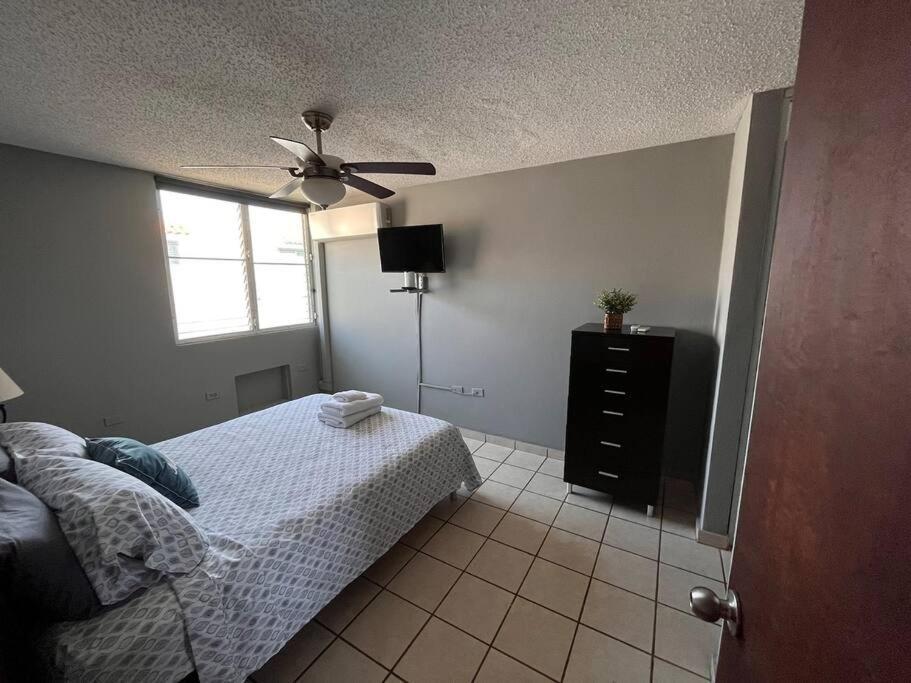 Penthouse In *