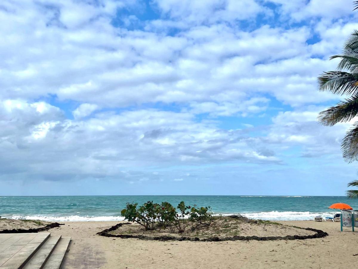 Stunning 3-br In Condado Apartment