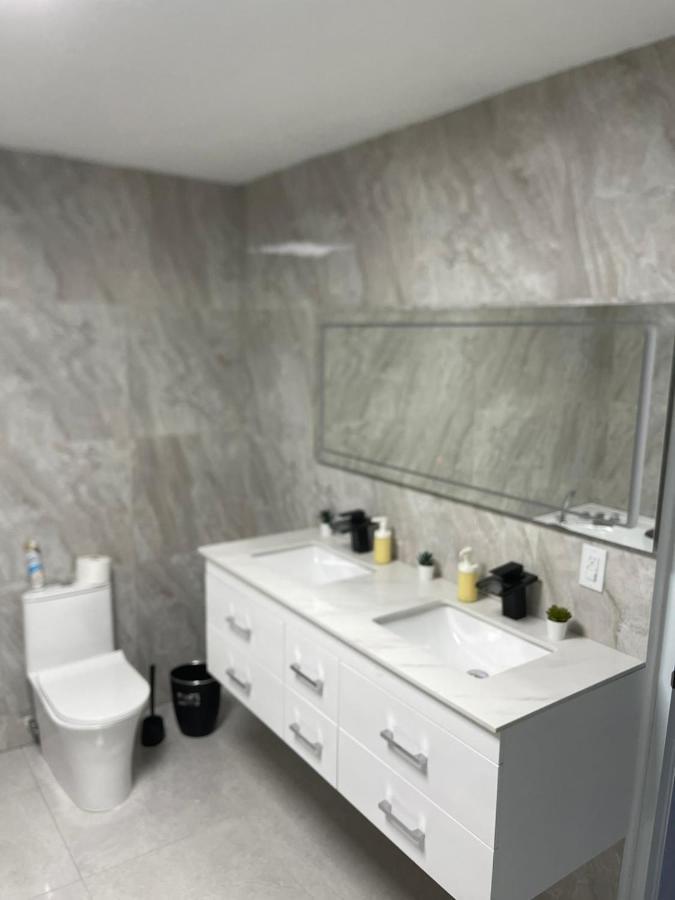 Luxury Apartment