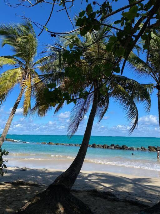 Family House, San Juan, Puerto Rico-beach, Restaurants, Airport * San Juan
