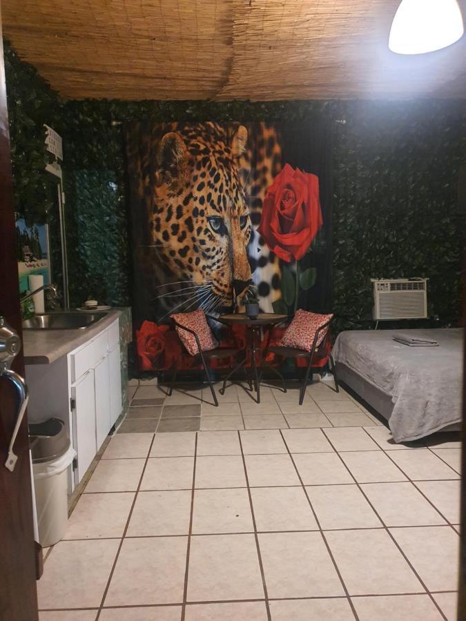 Mjac Jungle Apartment San Juan