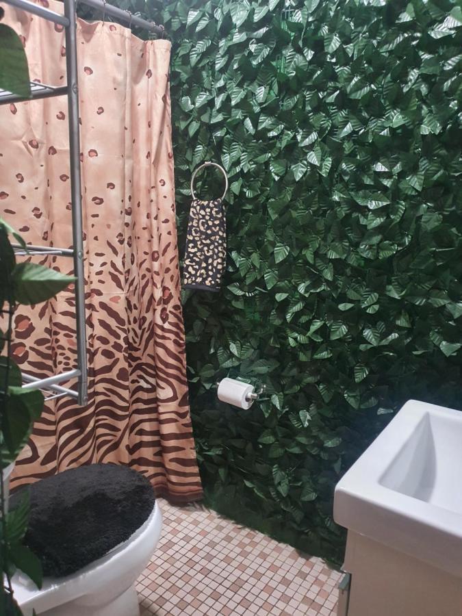 Mjac Jungle * San Juan