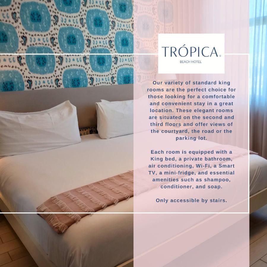 Tropica (adults Only)