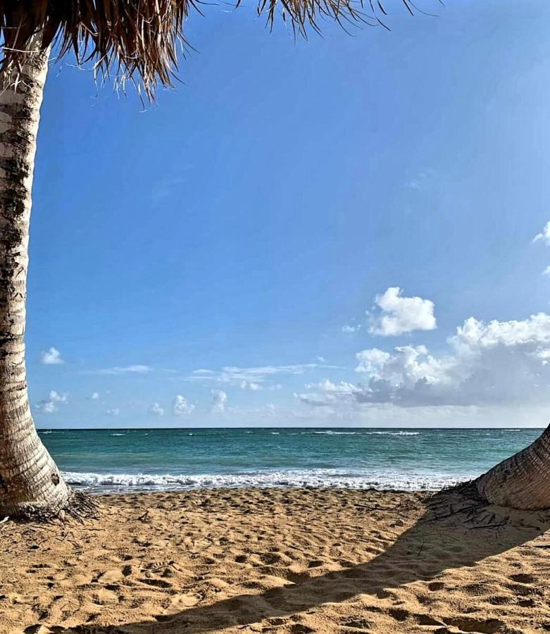 Condado San Juan
