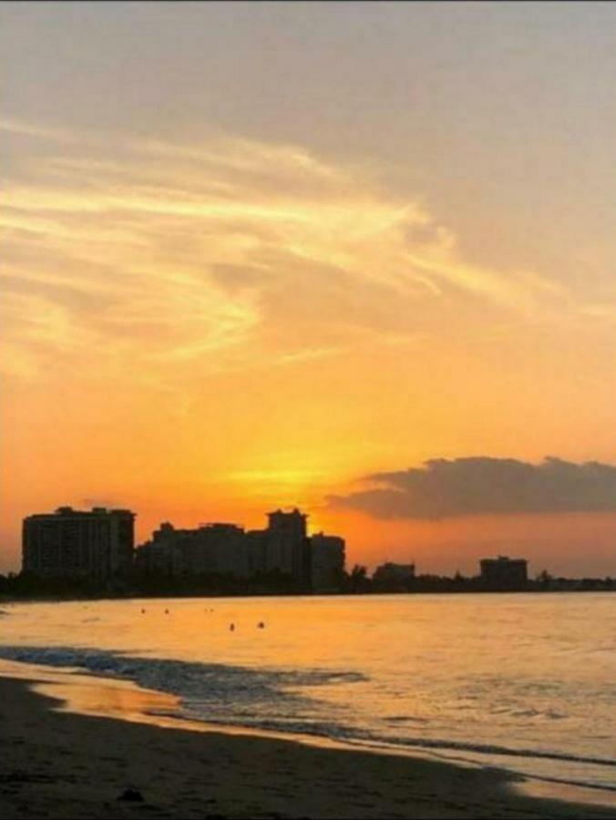 Apartment Starfish Luxury Ii