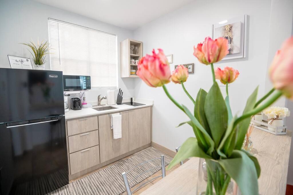 1 Santurce 1 Bedroom 1bathroom Apt Apartment San Juan