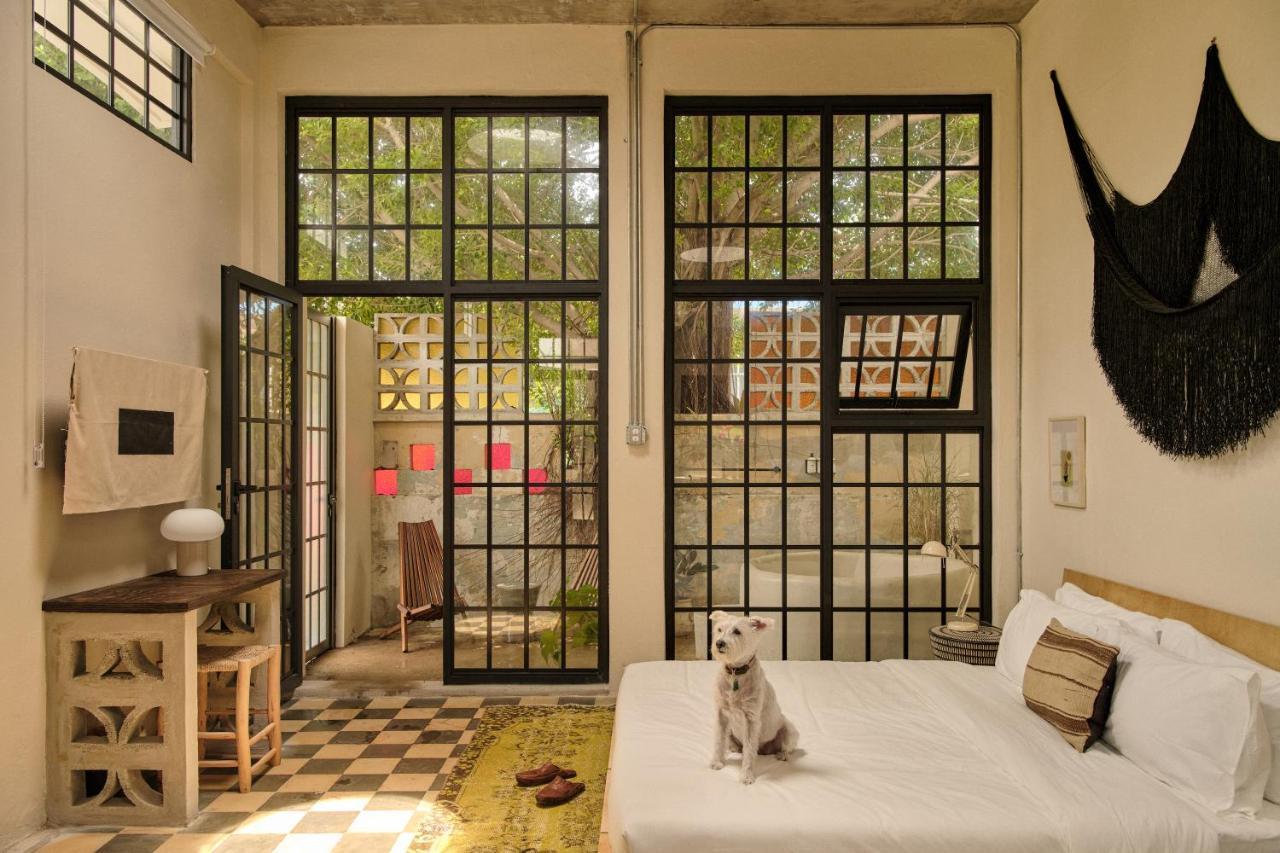 Aparthotel Paz By Dw