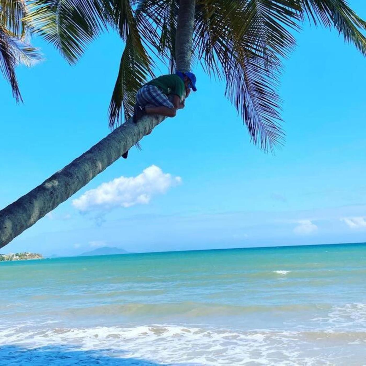 Holiday home Casa Lima In Palmeras San Juan