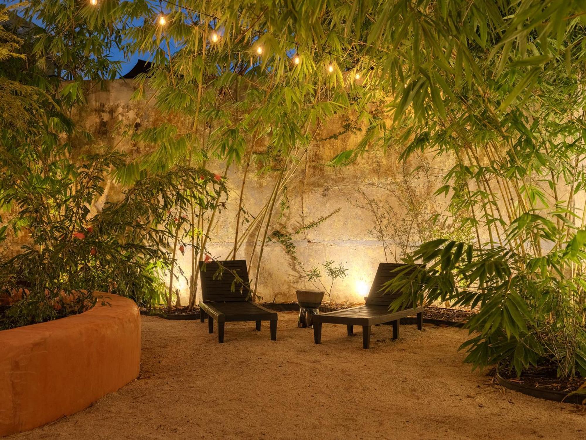 Casa Frida By Dw *