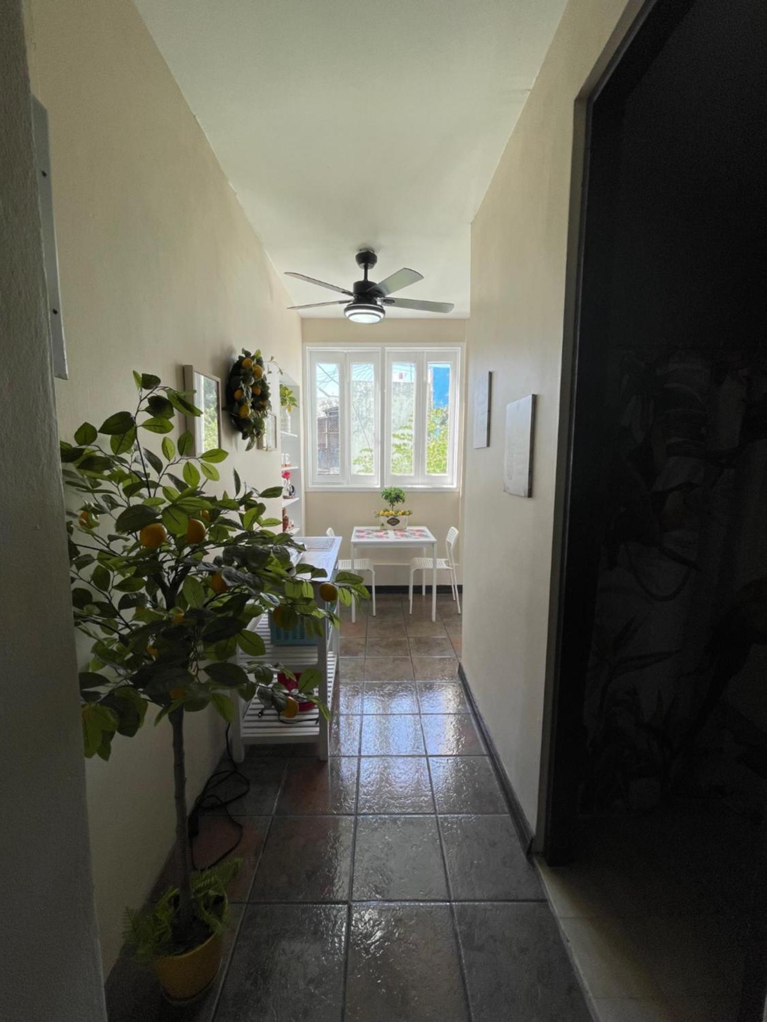 The Garden Apartment, The Willow Apartment, & The Tropical At Casa Of Essence In Old * San Juan