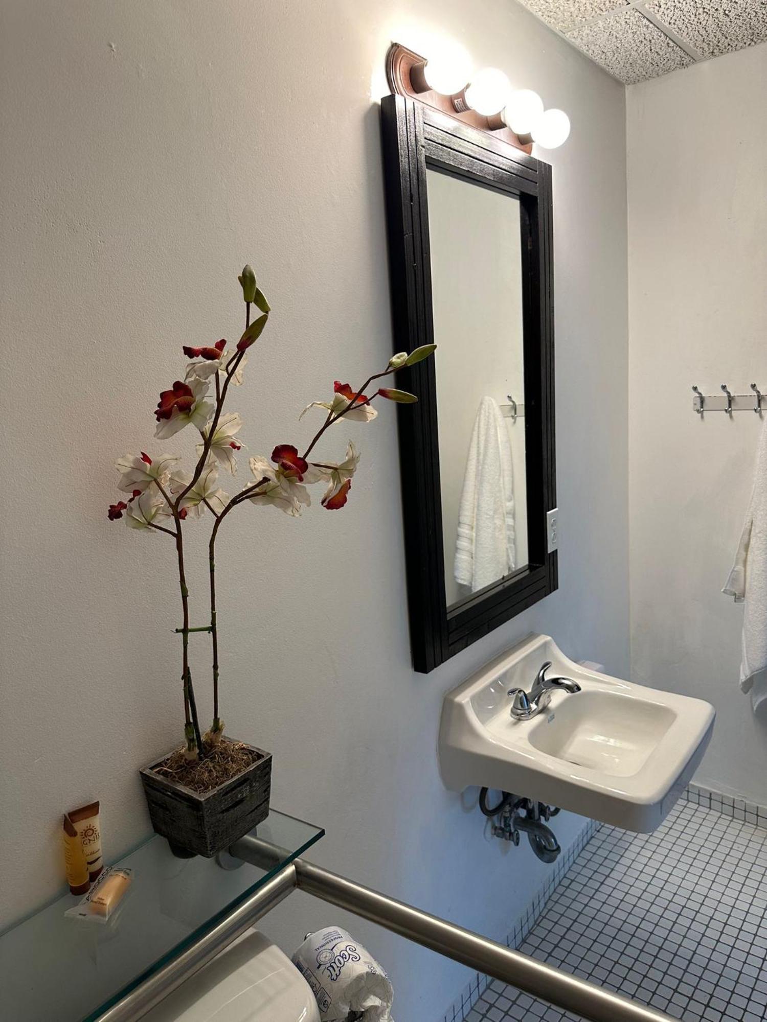 Hotel Casa Condado & Residences San Juan