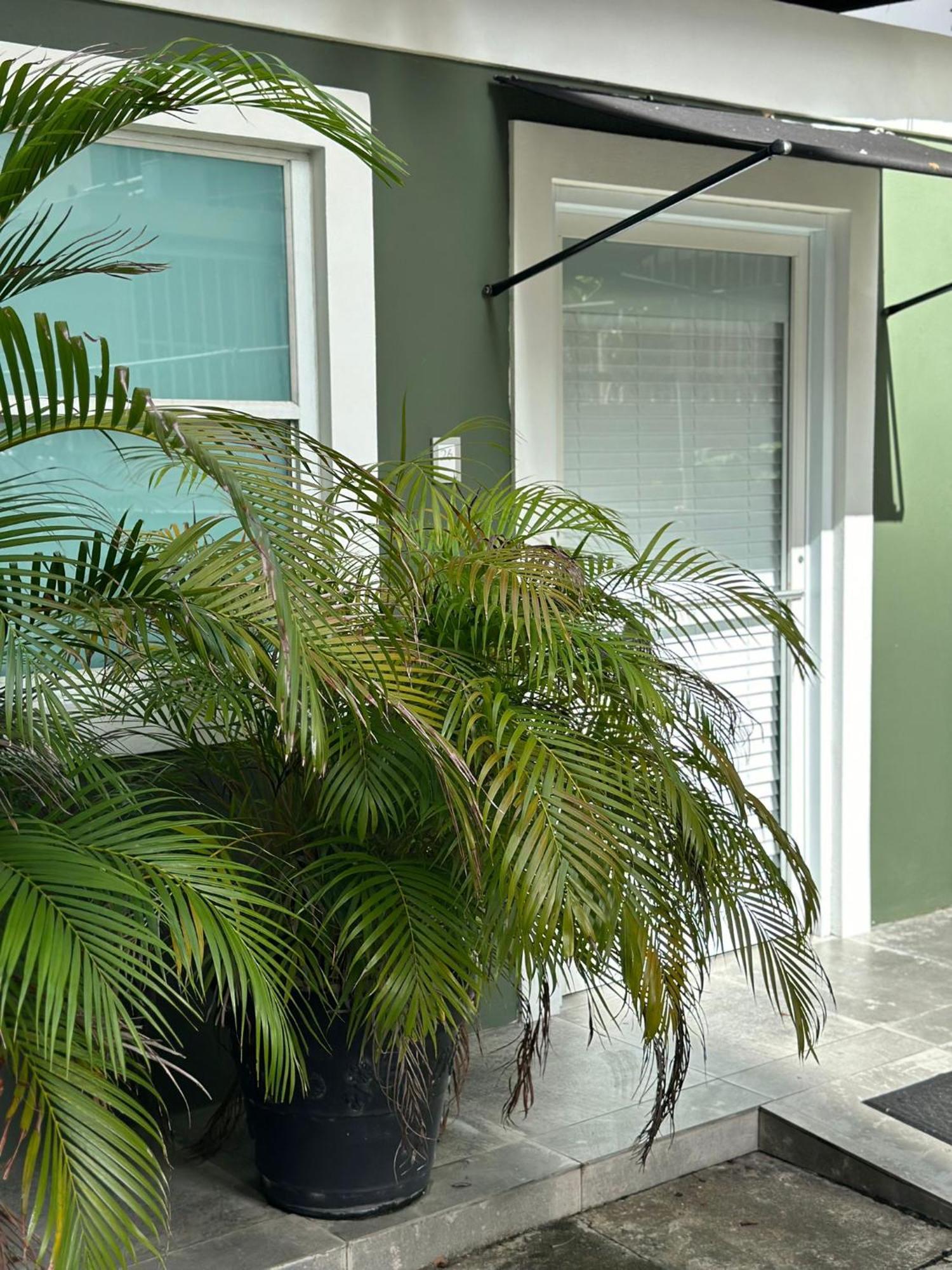 Hotel Casa Condado & Residences San Juan