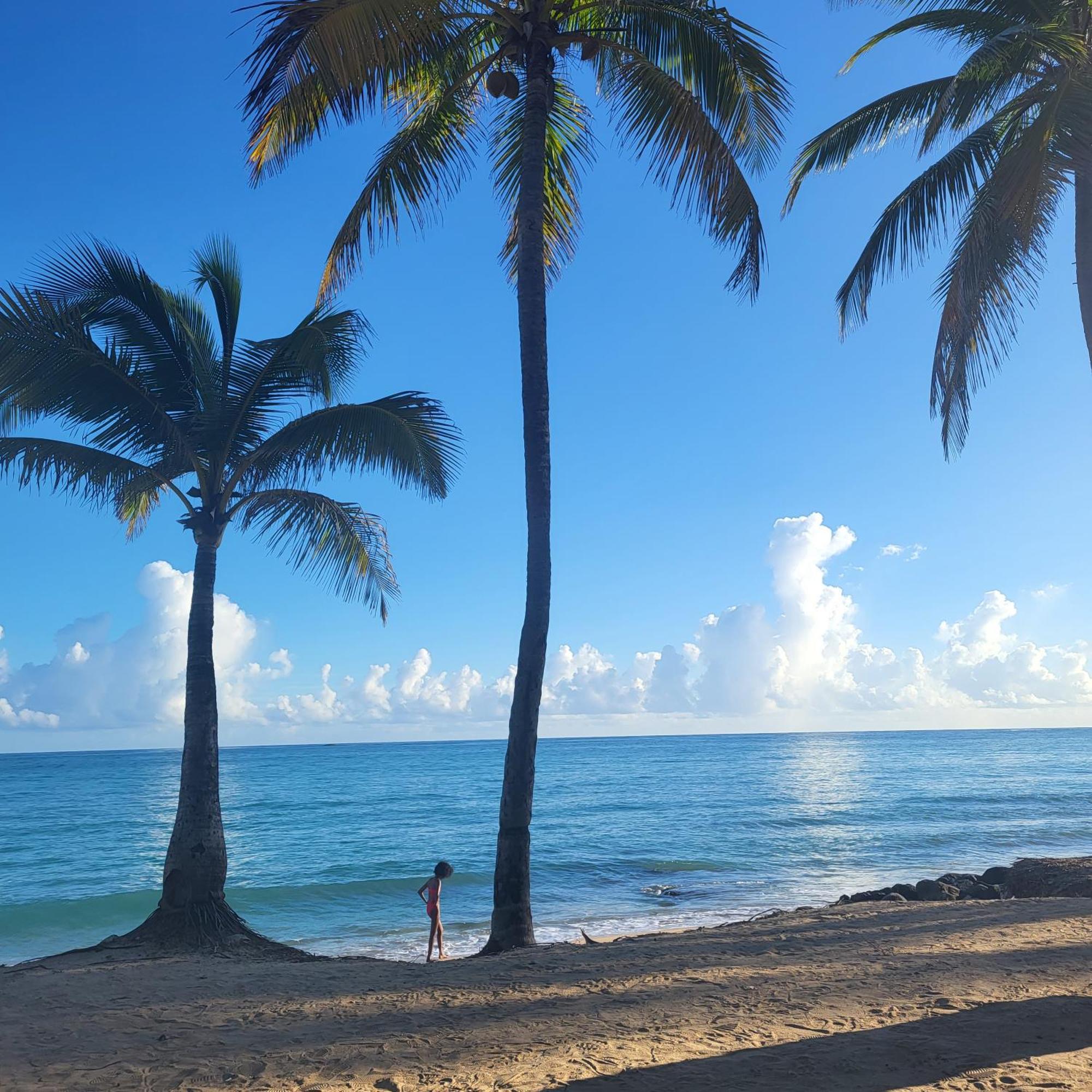 Apartment Cozybeach Large 1bdrapt 50 Steps From Atlantic Ocean Private Street Between Ocean Park & Isla 5 Mins From Airport *