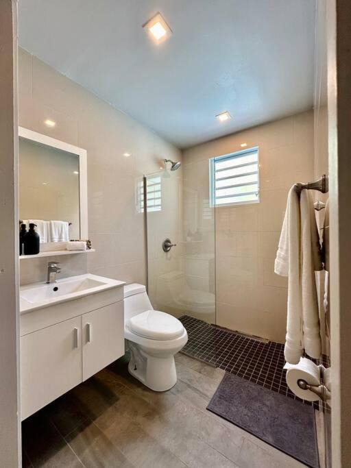 Apartment C&c Studio *