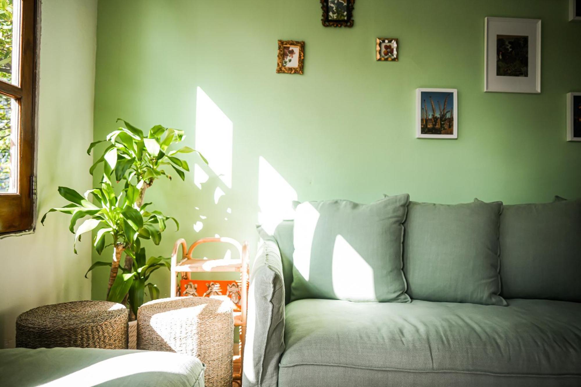 Boho Oasis By The Apartment *