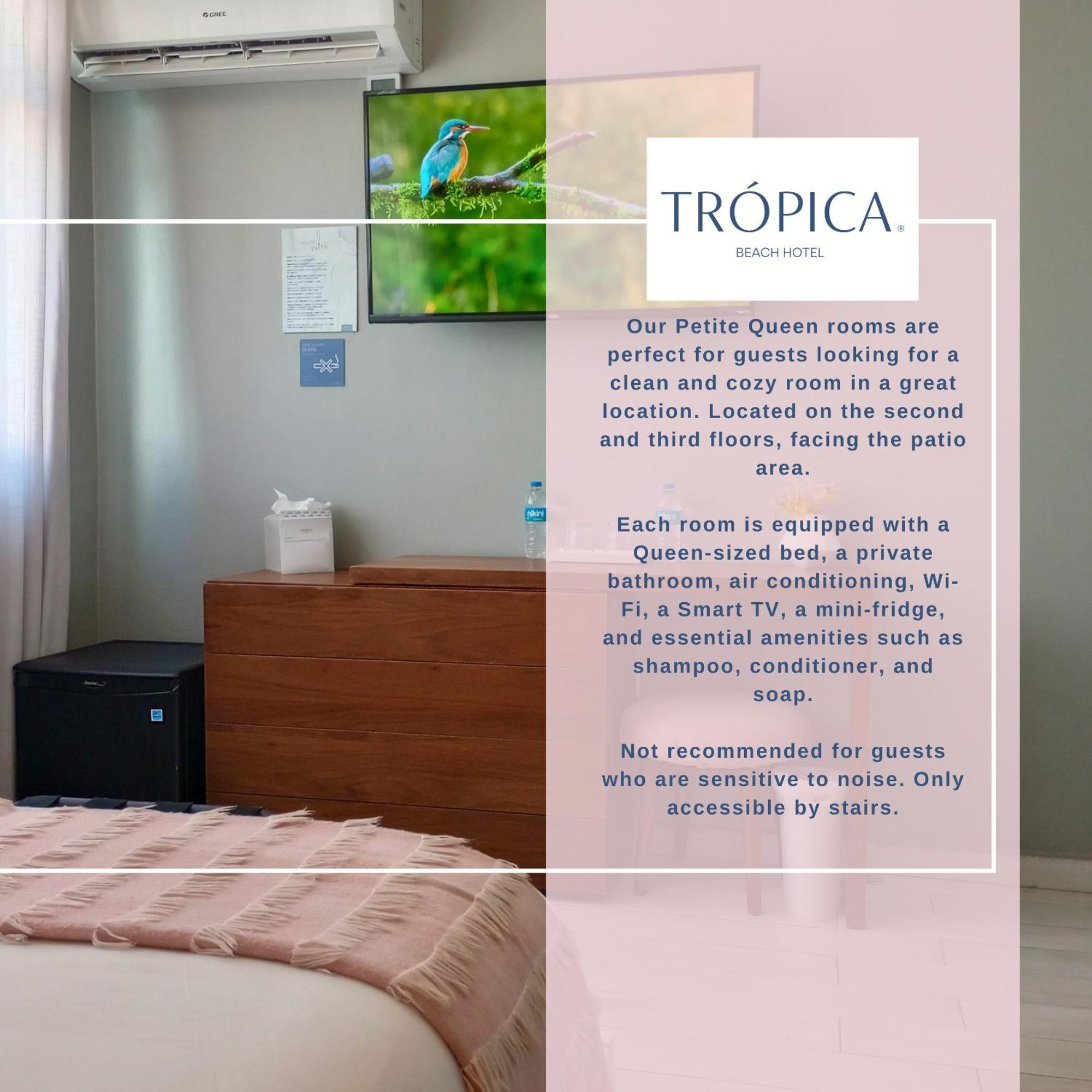 Tropica (adults Only) 3* San Juan