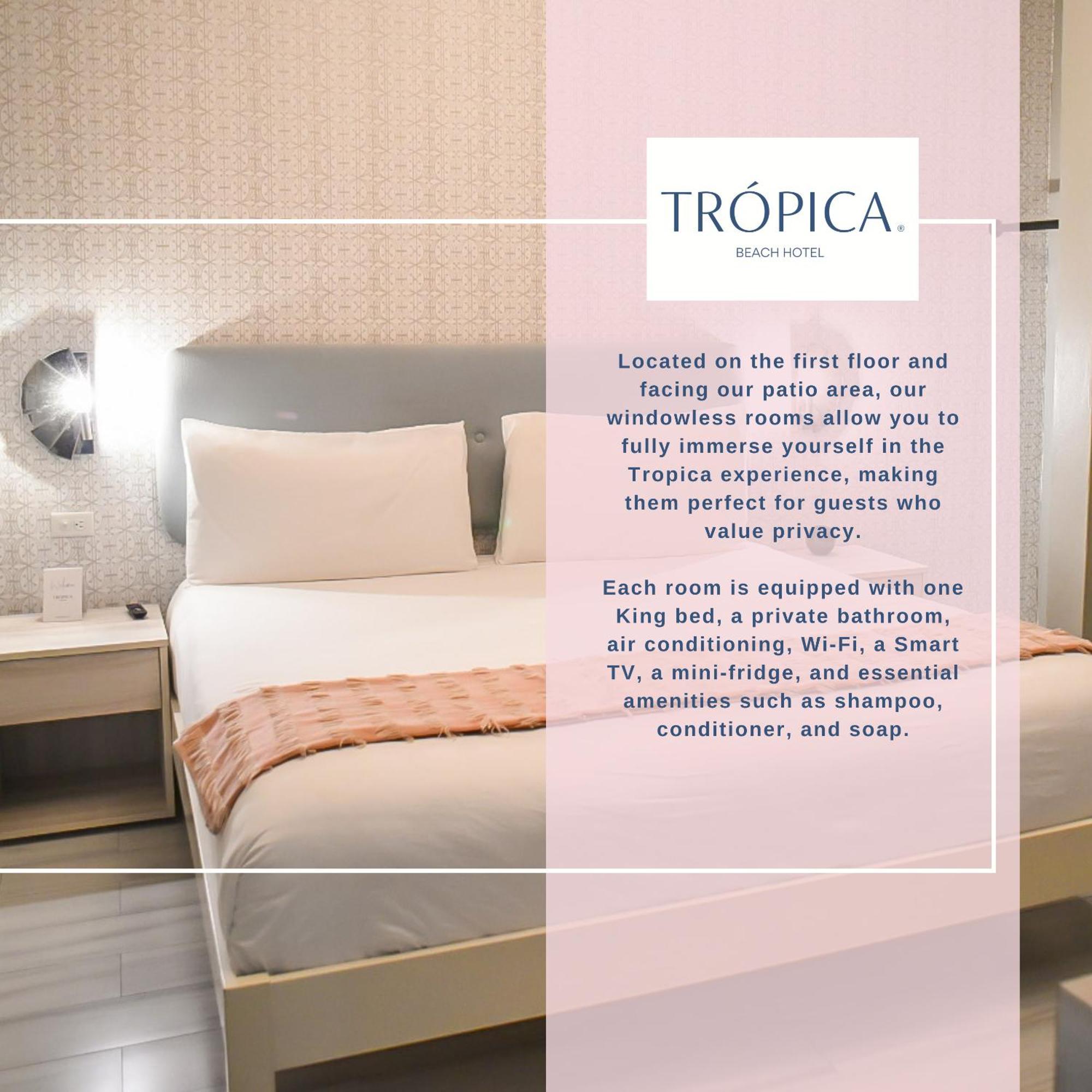 Tropica (adults Only) 3*