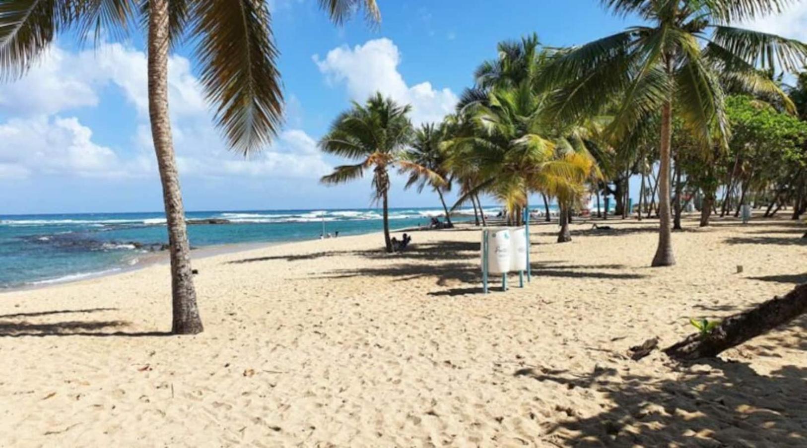 Apartment Condado Steps To The Beach, Vanderbilt & La Concha San Juan