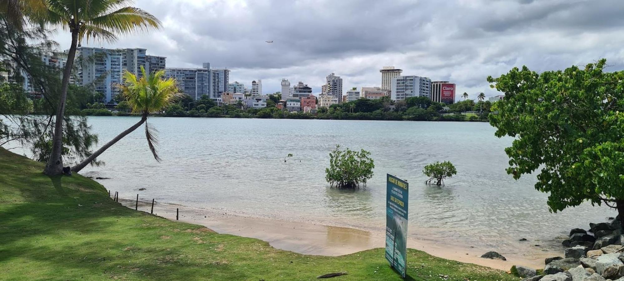 Apartment Condado Steps To The Beach, Vanderbilt & La Concha *