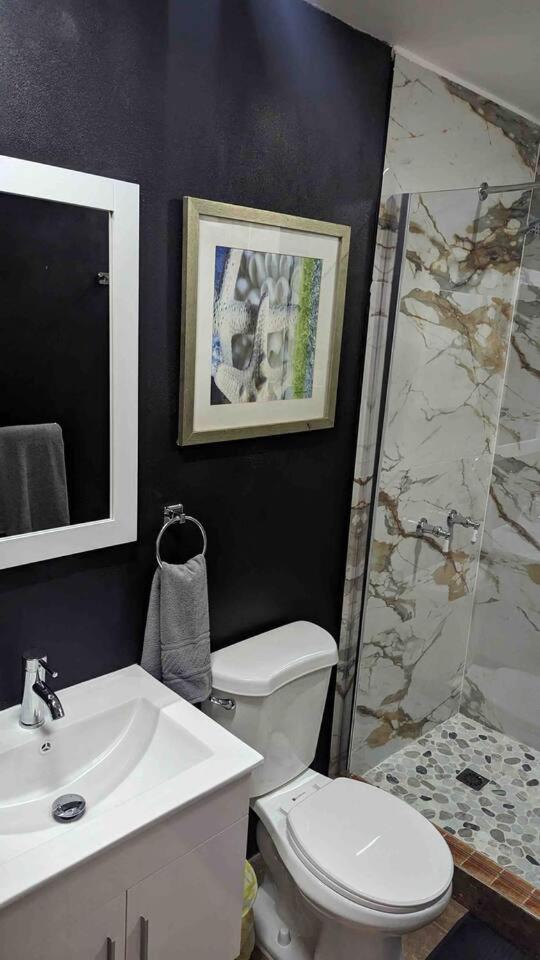 Apartment Santurce Studio- Newly Renovated 2 *