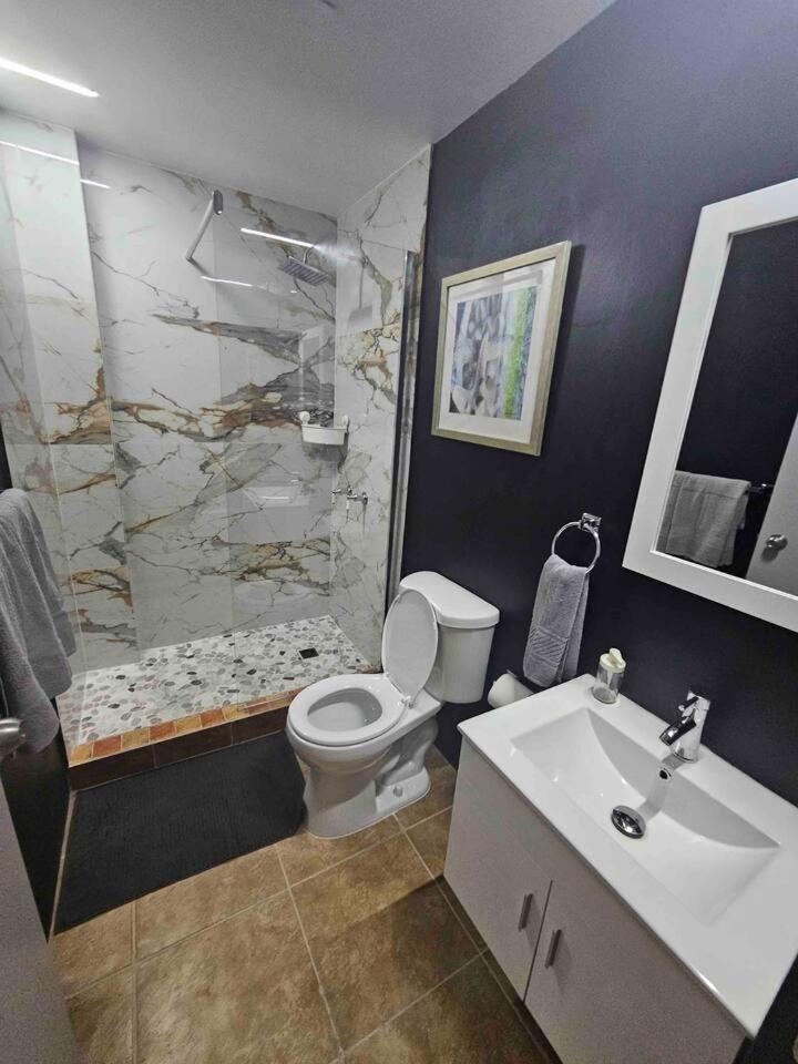 Santurce - Centrally Located 3 Apartment San Juan