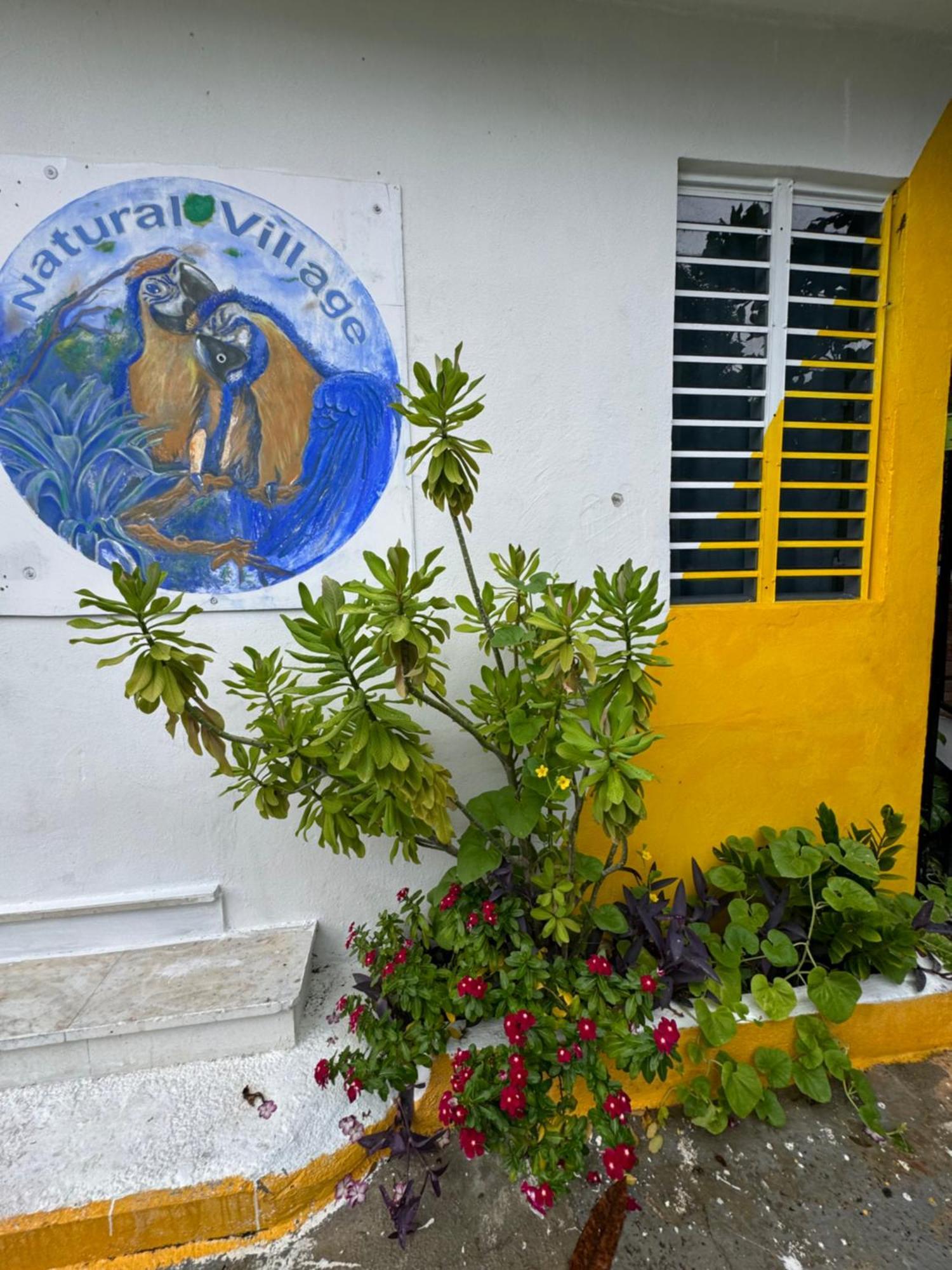 Natural Village #1,2,3 & 5 San Juan