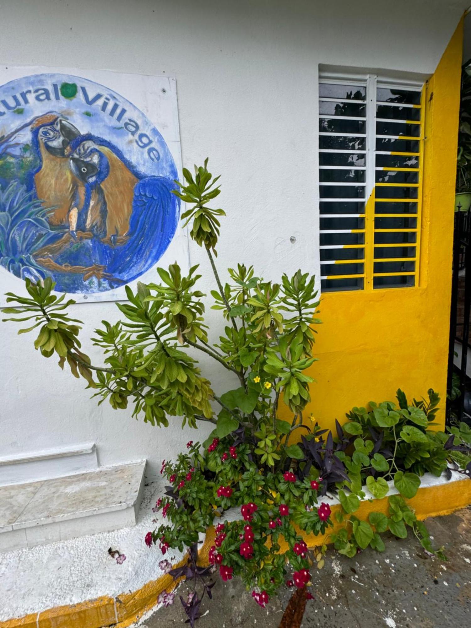 Natural Village #1,2,3 & 5 Homestay San Juan