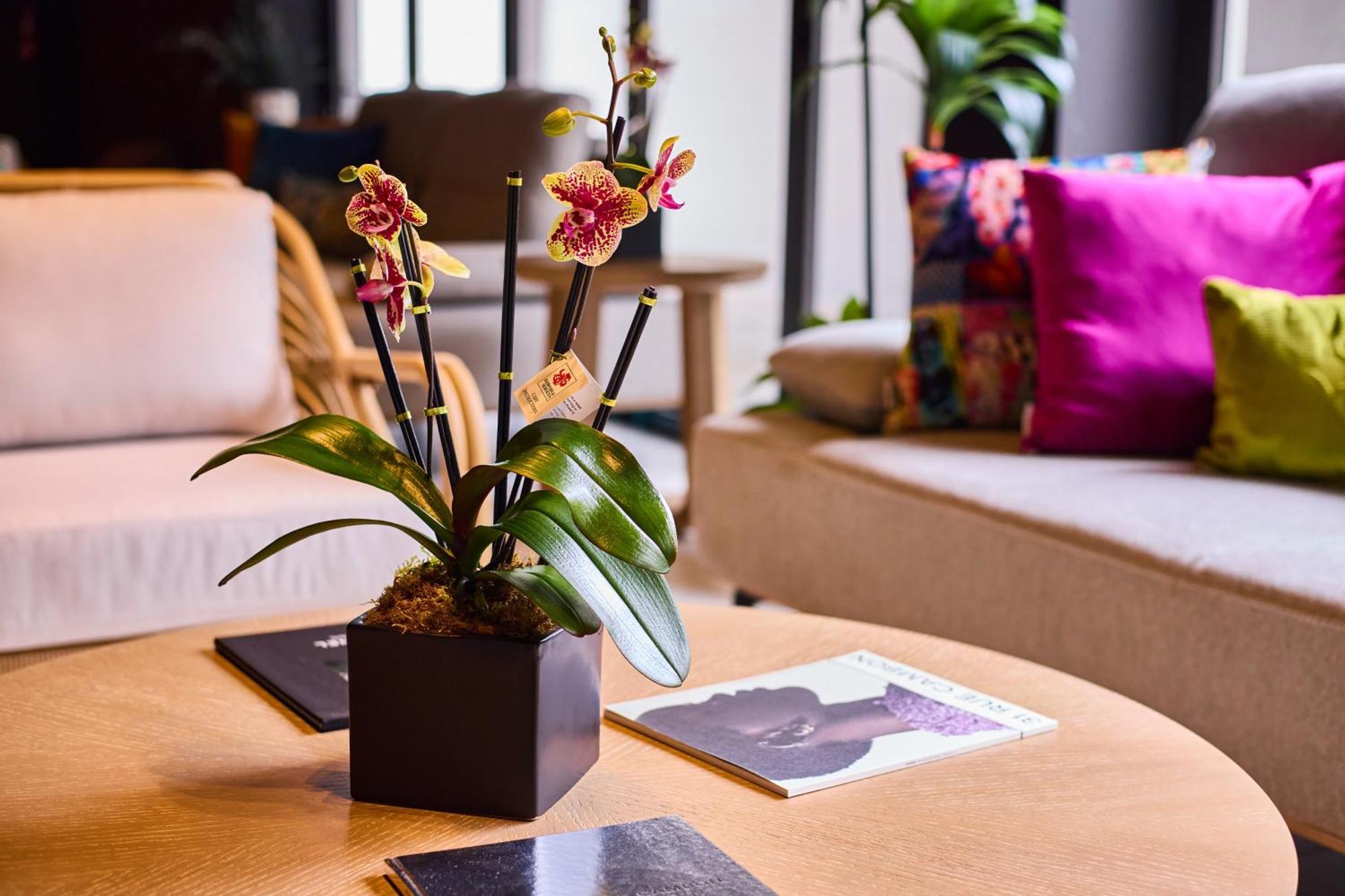 Hotel Ola Boutique 4*