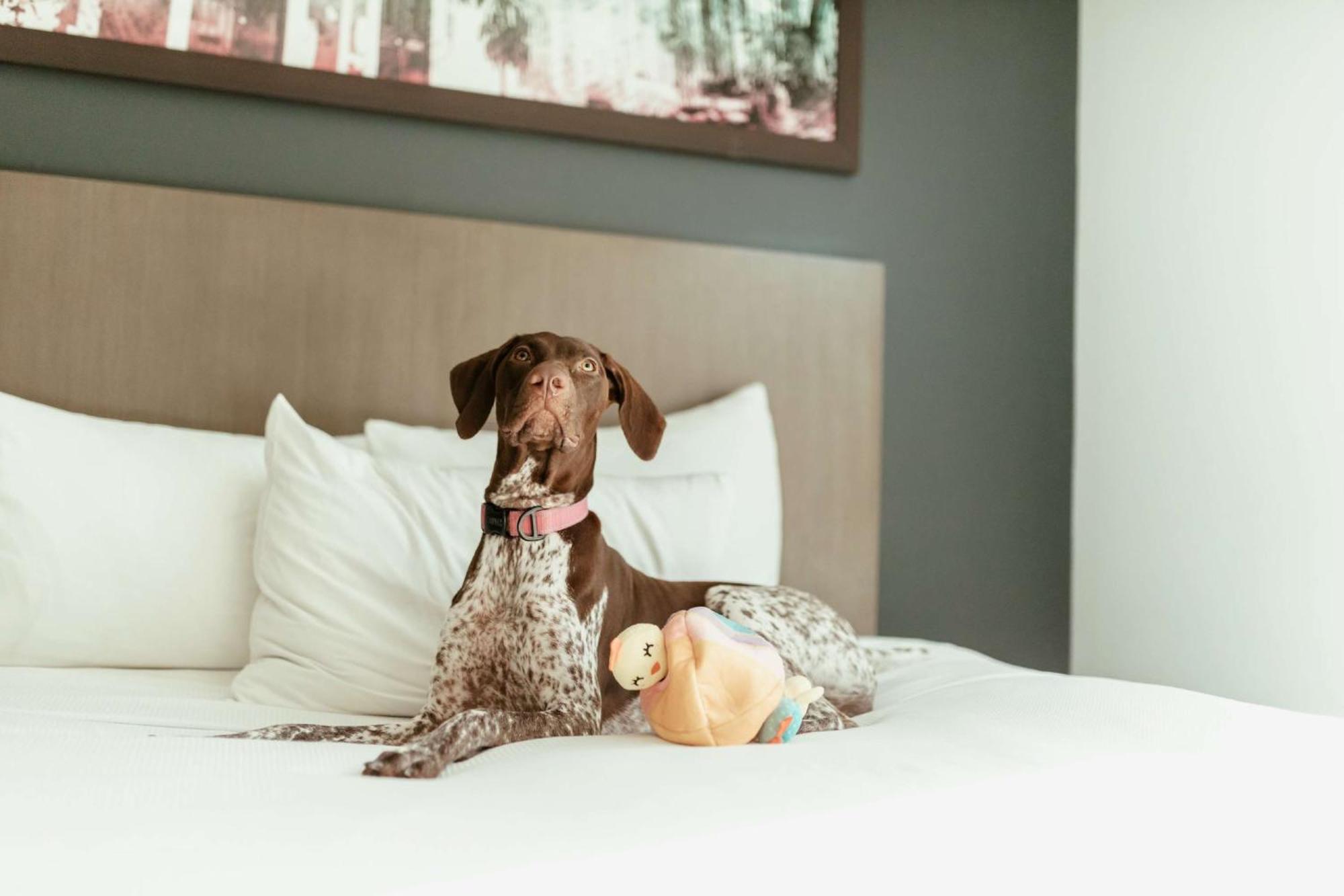 Hotel Hyatt House 3*