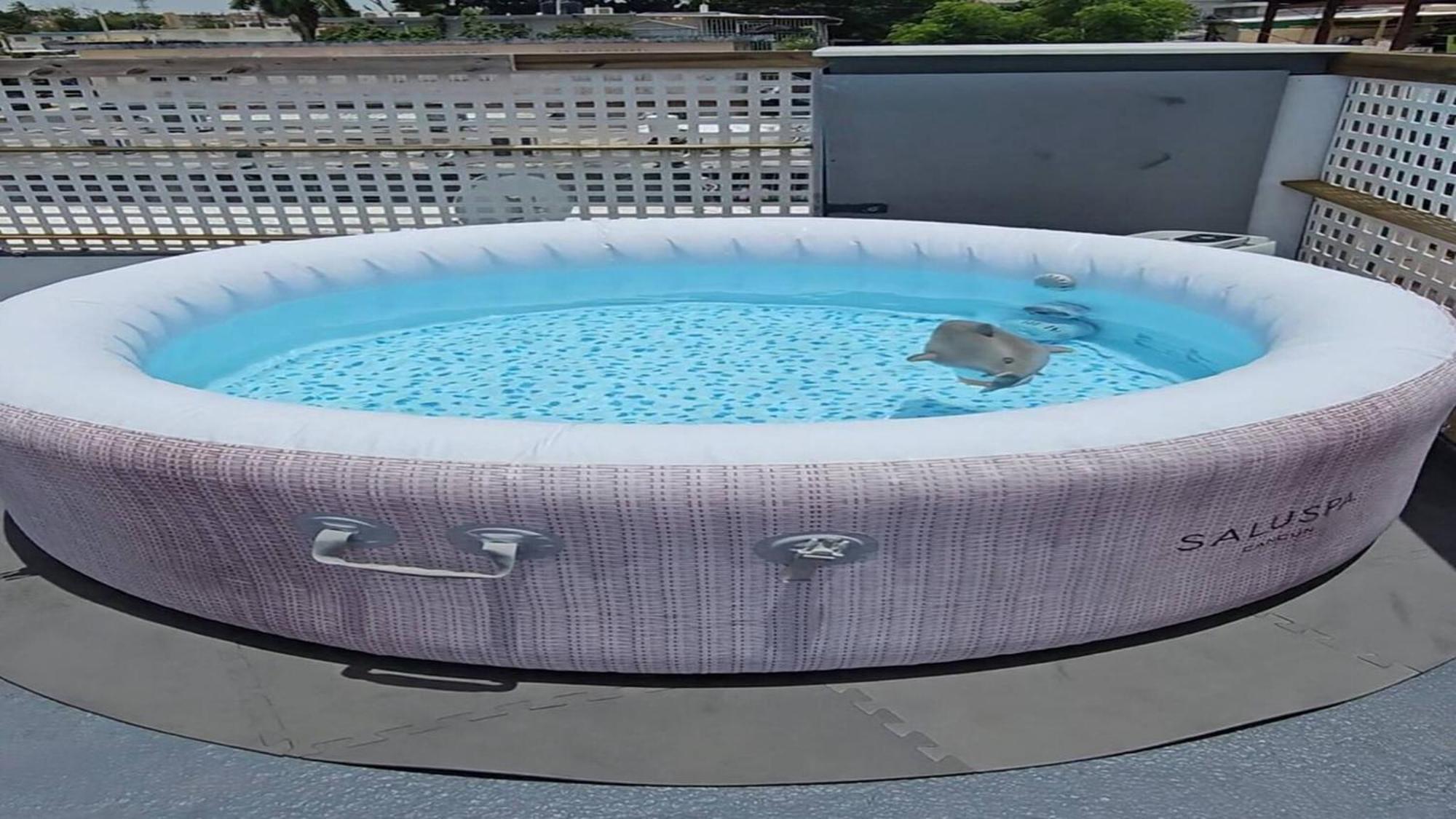 Apartment Terrace With Jacuzzi Modern 2