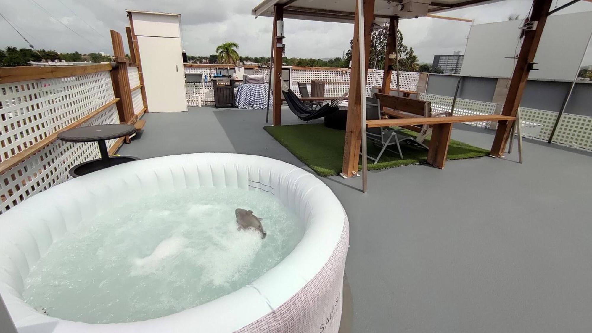 Apartment Terrace With Jacuzzi Modern 2 San Juan