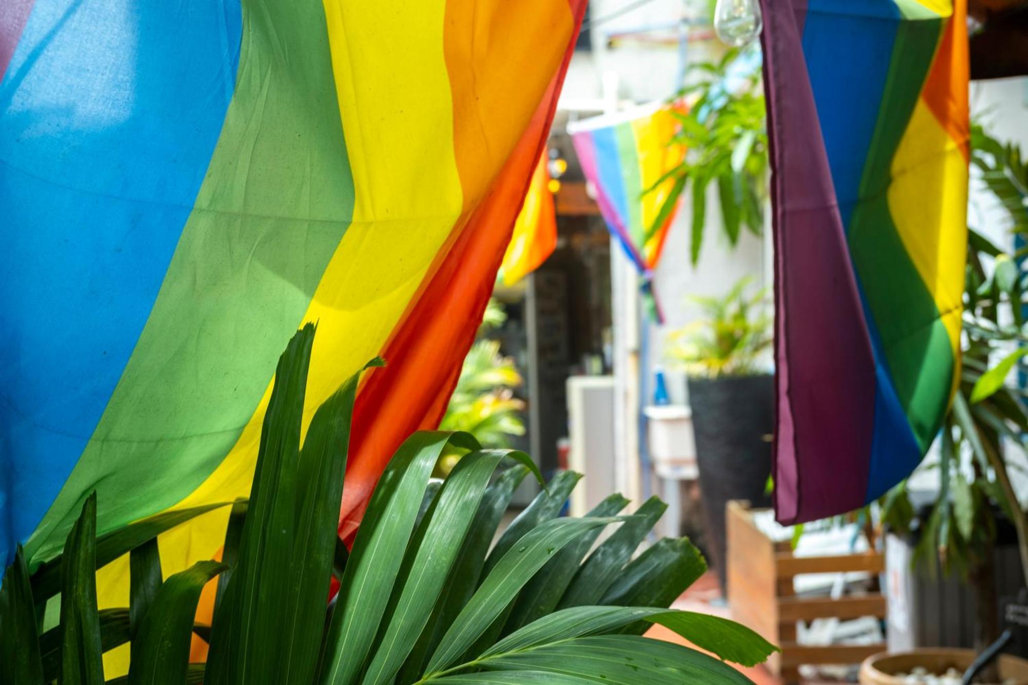 Coqui Del Mar Lgbtq Clothing Optional (adults Only) Apartment *