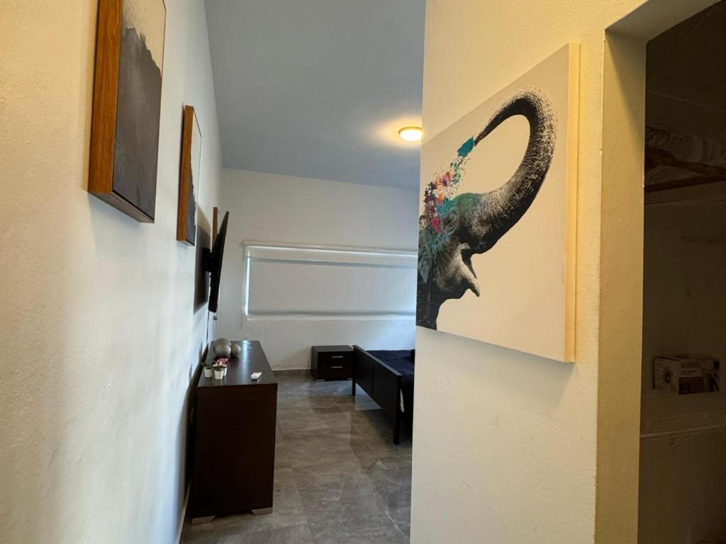 Elegant 1-br Penthouse In Condado!