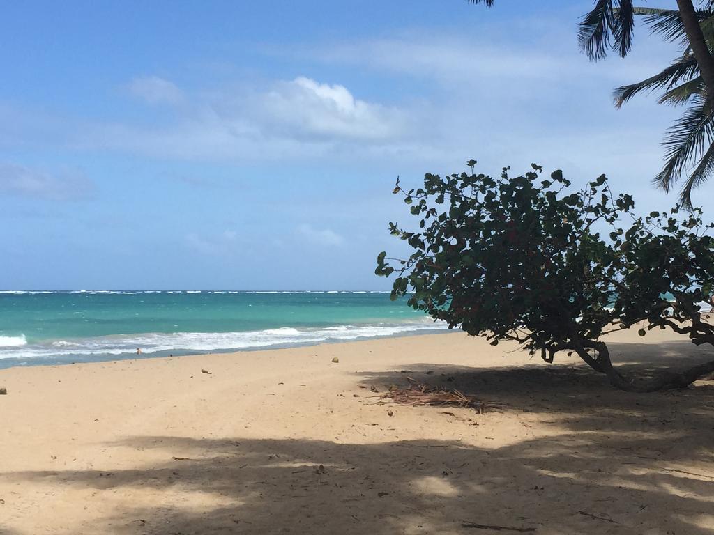 Kingsville Condado Studio Apartment *