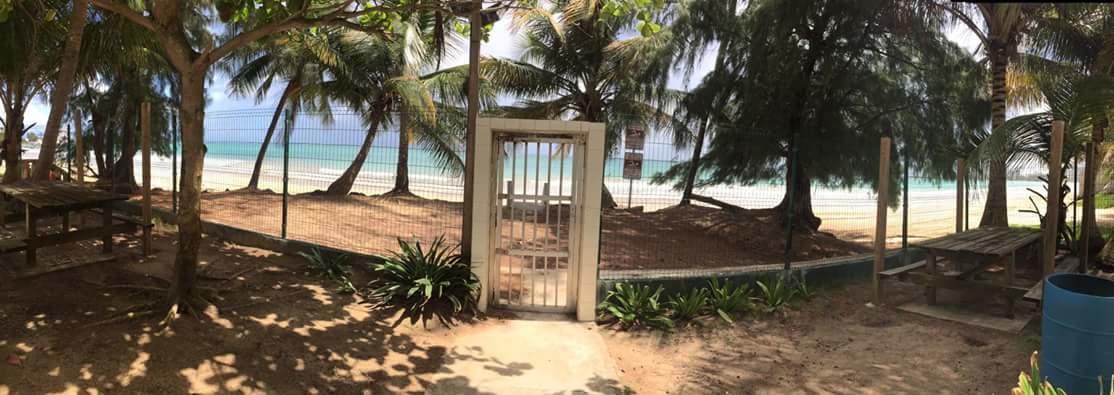 Beach Front Apt Isla Verde 2