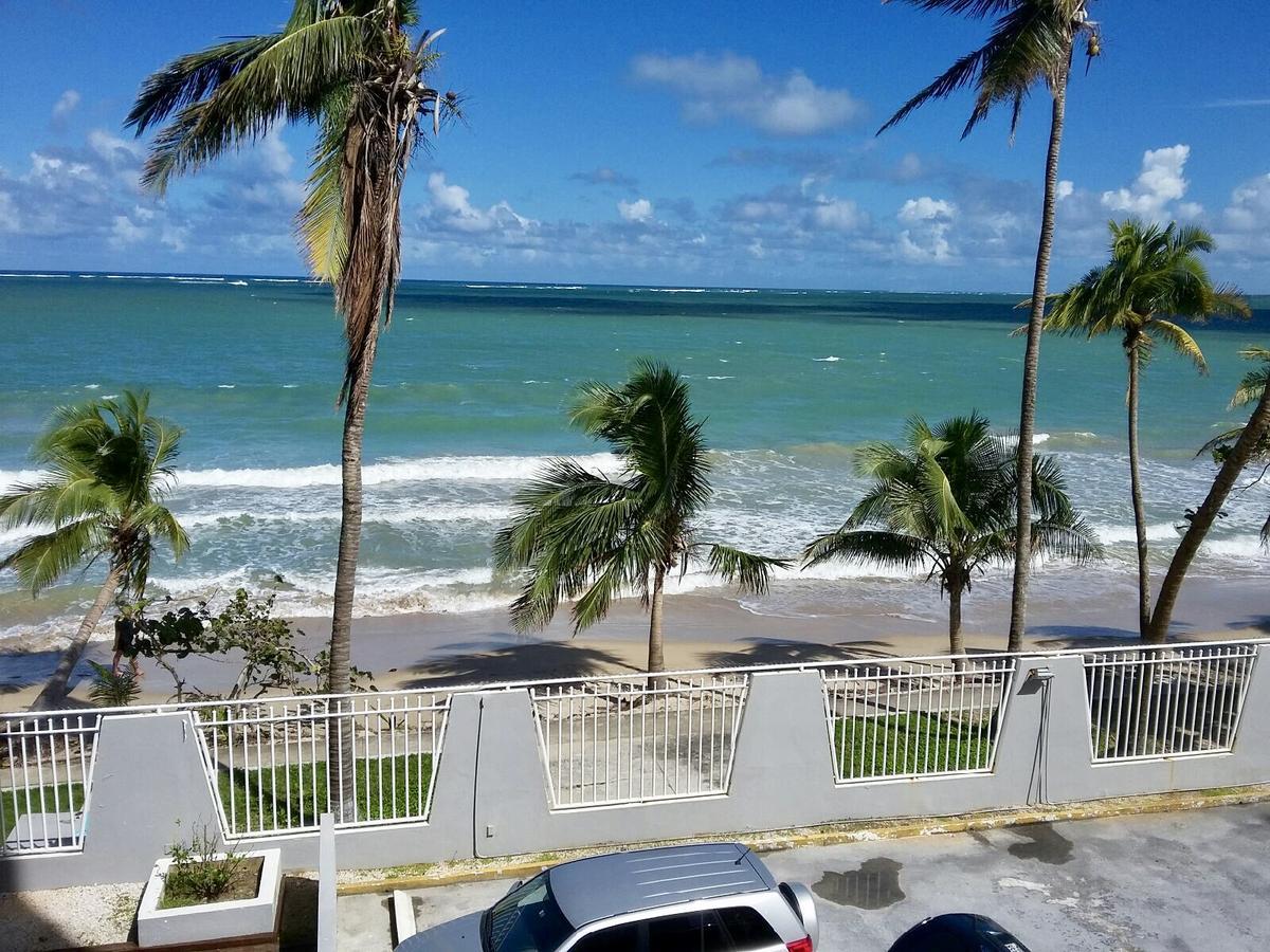 Las Gaviotas Condominium Apartment *
