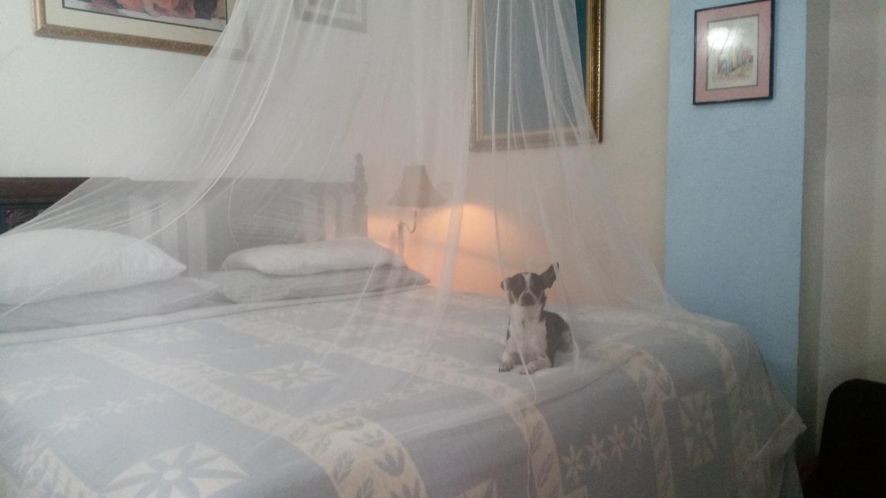 Casa Tripgogo Bed & Breakfast 2*