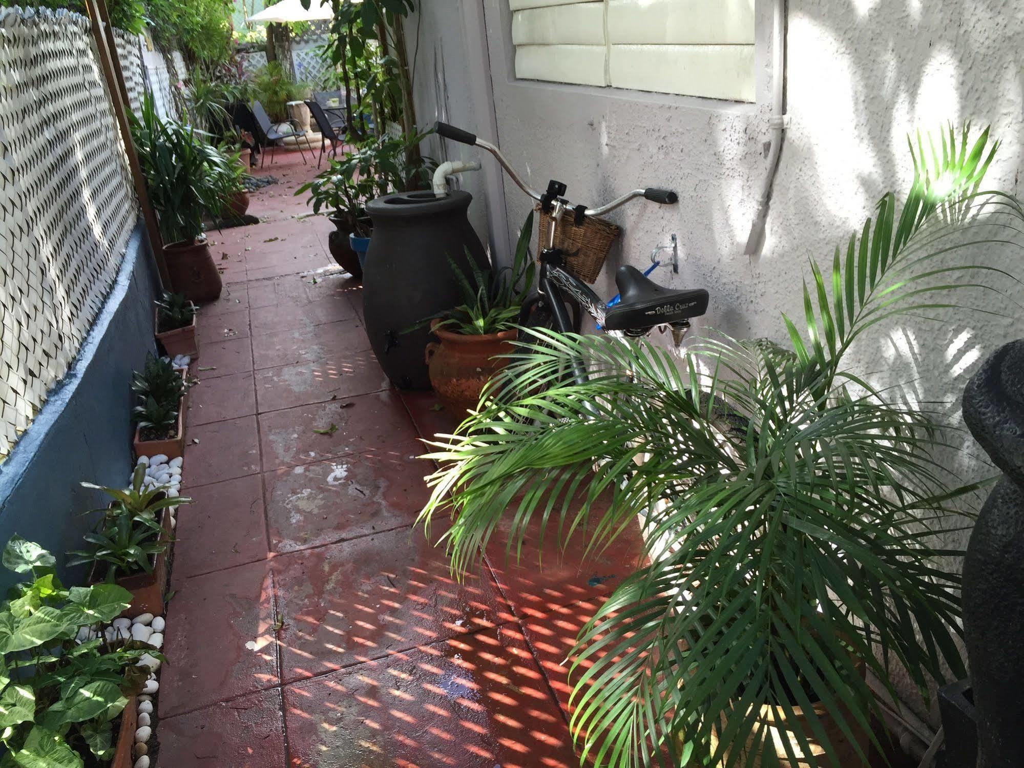 Apartment Coqui Del Mar Lgbtq Clothing Optional (adults Only) *