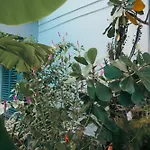 Caribe Rentals - Miramar