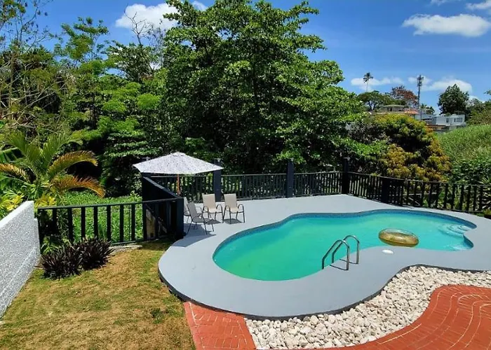 Beautiful Private Villa With Summer-Ready Pool, An Oasis In The City